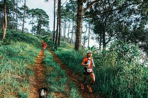 BIB: 
                            <button type="button" onclick="openModal(25652531)" class="btn btn-primary btn-sm float-right btn-popup" data-toggle="modal" data-target=".modal-high-quality">
                        <i class="fas fa-shopping-cart"></i> Add to Cart
                    </button>
                                            <button type="button" onclick="isThisMe(25652531, true)" class="btn btn-success btn-sm float-right btn-popup btn-isme hidden" data-toggle="tooltip" data-placement="bottom" title="นี่คือรูปของคุณใช่ไหม คลิกที่นี่เพื่อเอาเข้าอัลบั้ม">
                        <i class="fas fa-plus"></i> Add to album
                    </button>
                    <button type="button" onclick="isThisMe(25652531, false)" class="btn btn-warning btn-sm float-right btn-popup btn-isnotme hidden">
                        <i class="fas fa-ban"></i> Remove from album
                    </button>